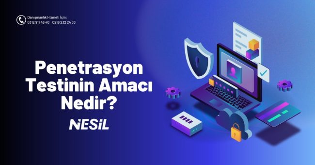 Penetrasyon Testinin Amacı Nedir?