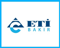 Eti Bakır – penetrasyon testi ve güvenlik analizi