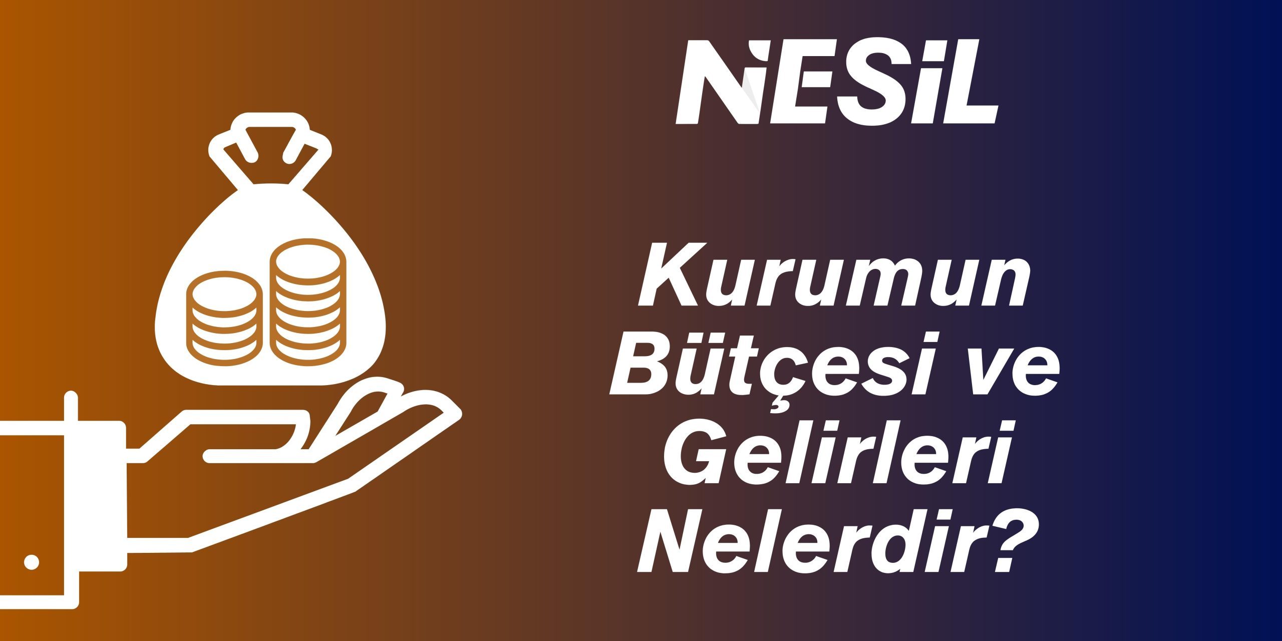 Kurulun Bütçesi ve Gelirleri