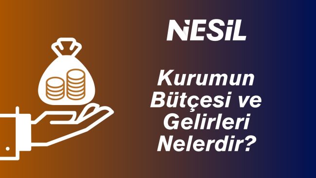 Kurulun Bütçesi ve Gelirleri
