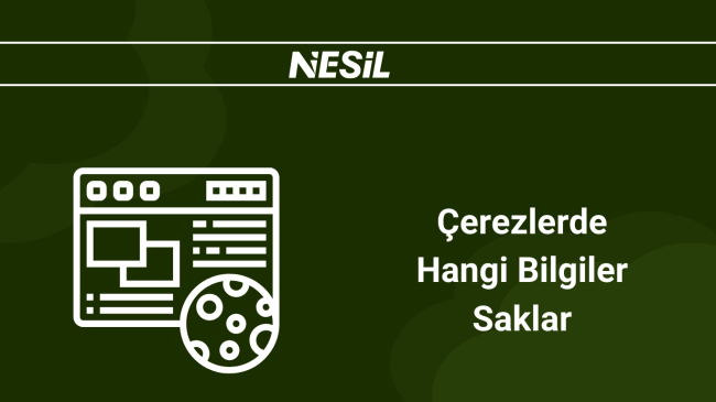Çerezler Hangi Bilgileri Saklar