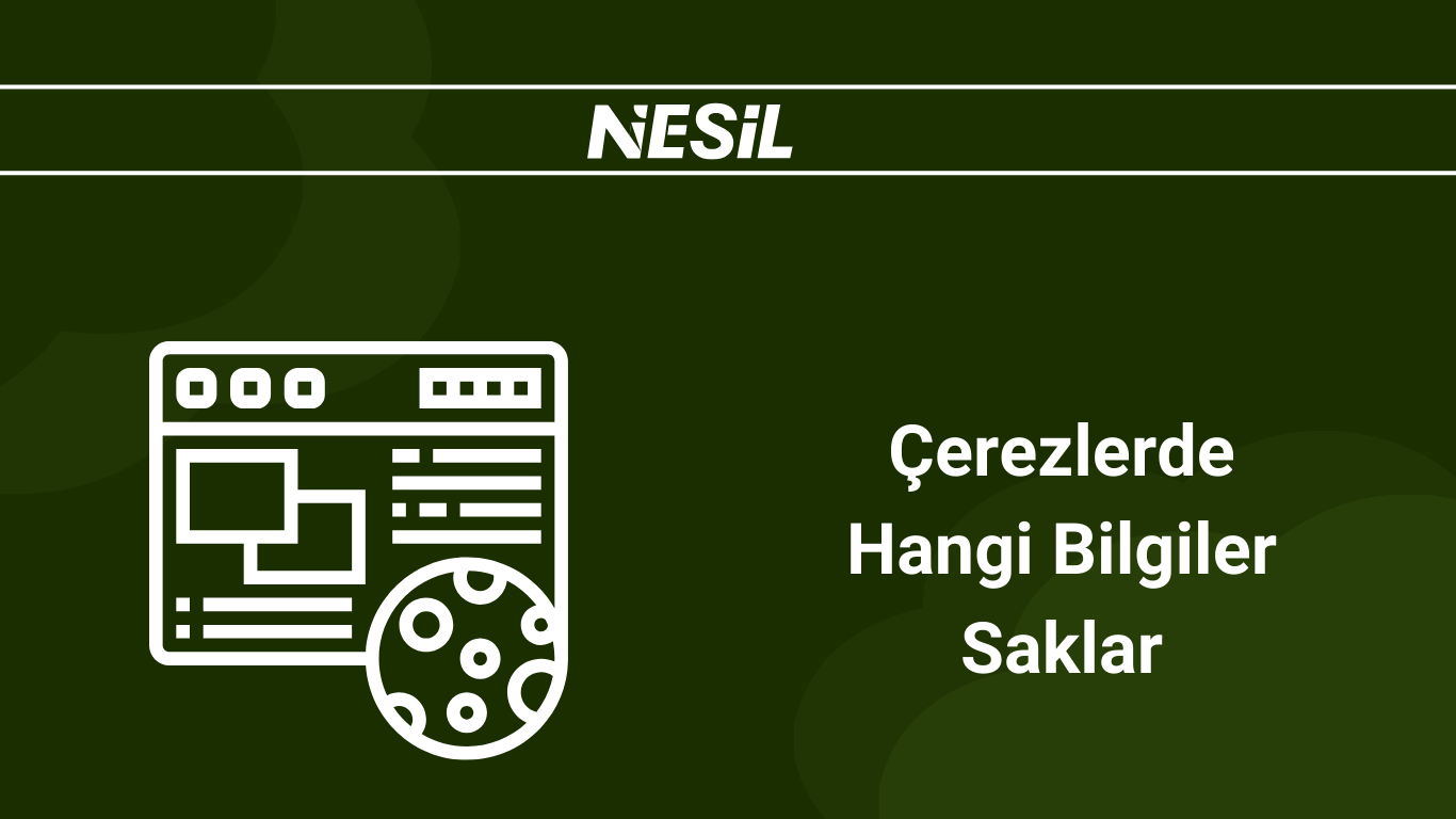 Çerezler Hangi Bilgileri Saklar