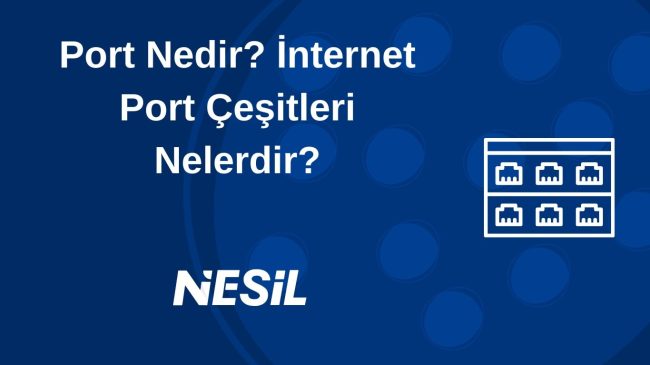 Portlar ve İnternet İletişimi, Çeşitleri ve Kullanım Alanları