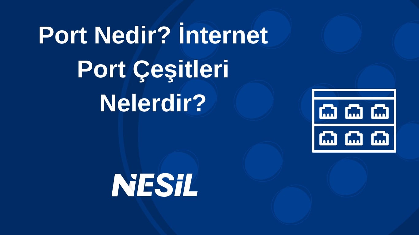 Portlar ve İnternet İletişimi, Çeşitleri ve Kullanım Alanları