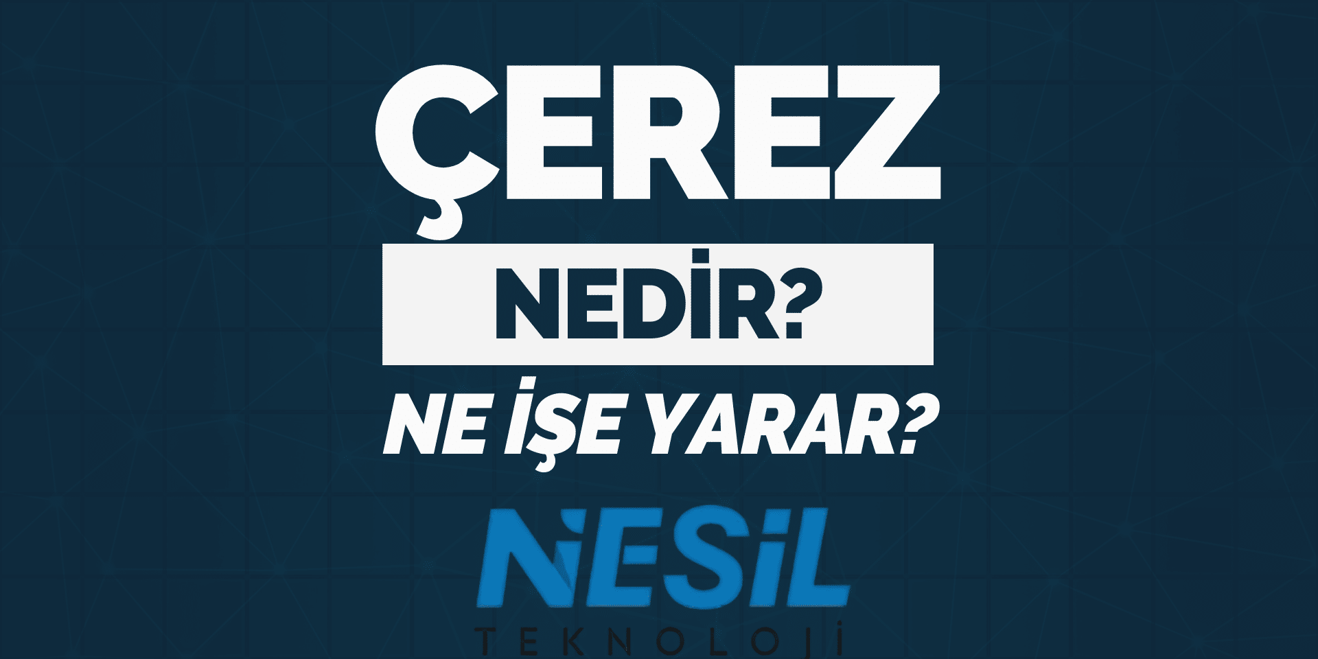 Çerez Nedir? Ne işe Yarar? Çerez Nedir? Ne işe Yarar?