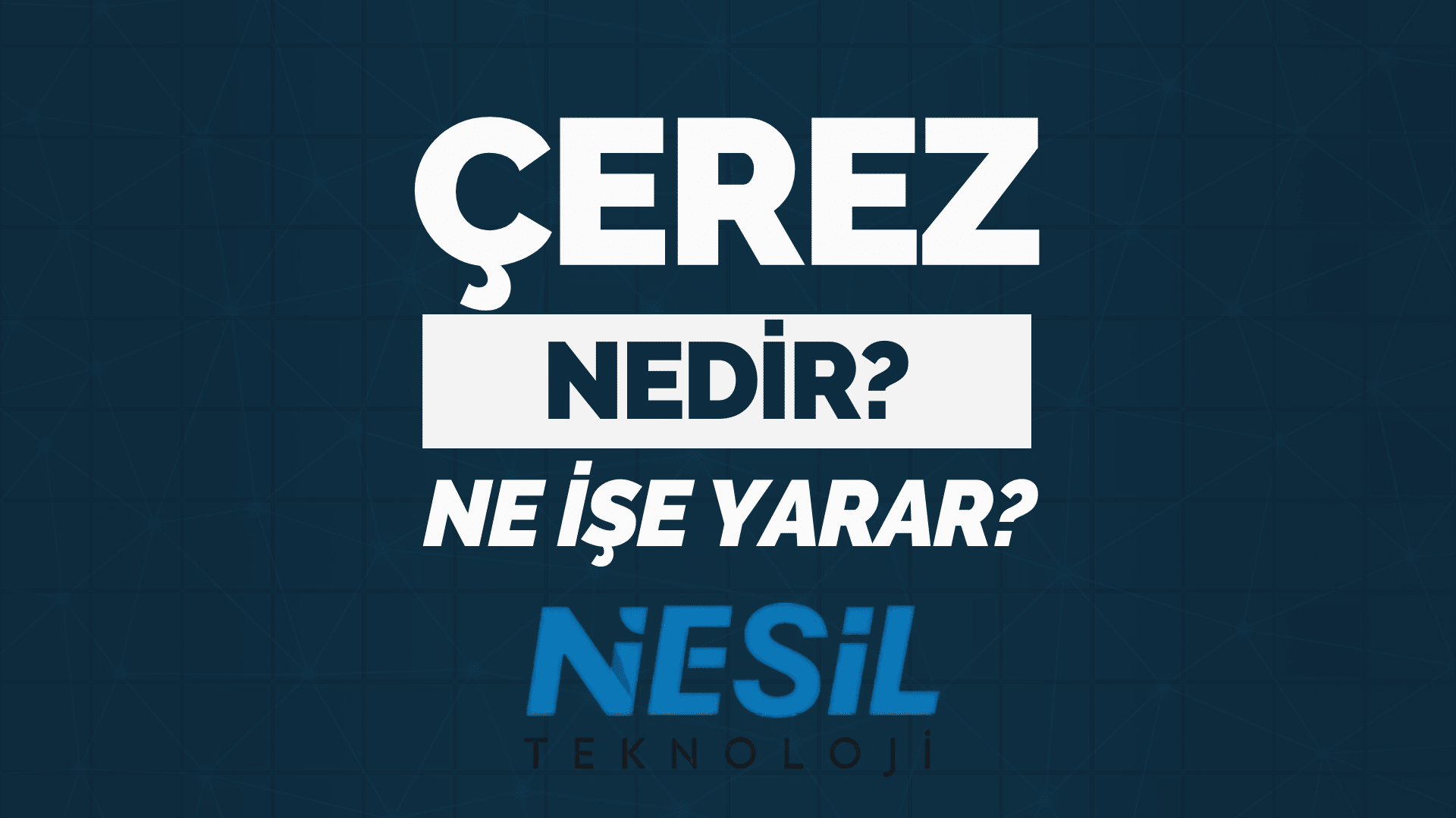 Çerez Nedir? Ne işe Yarar?