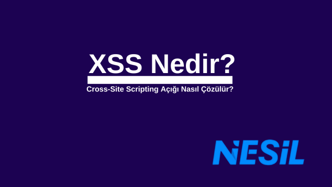 Cross-Site Scripting