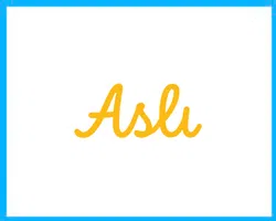 Aslı Börek – gizlilik merkezi yazılımı çözümü