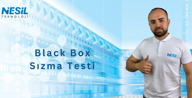 Black box sızma testi nedir