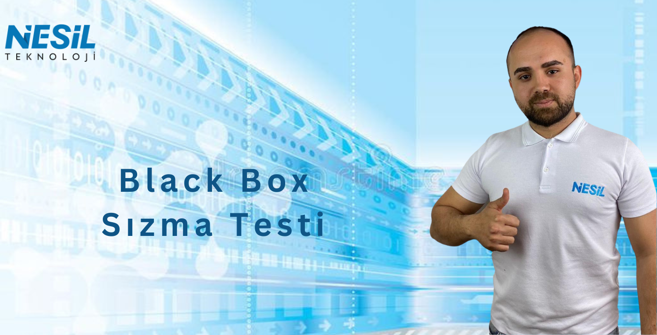 Black box sızma testi (1336 x 683 px) Black box sızma testi nedir