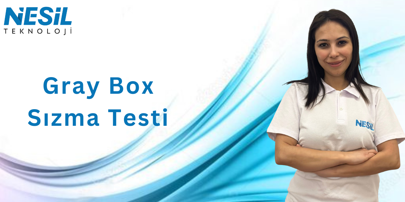 Gray box sızma testi (1336 x 683 px) Gray Box Sızma Testi