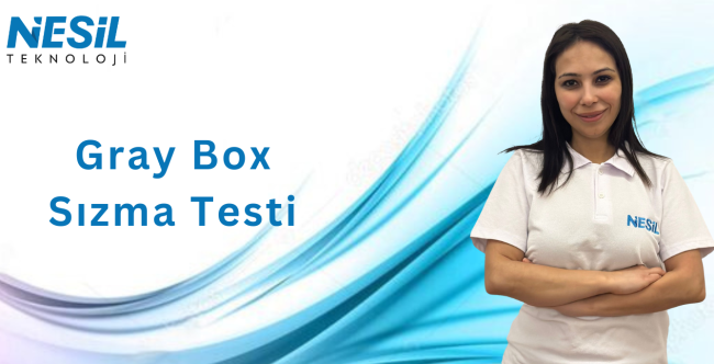 Gray Box Sızma Testi