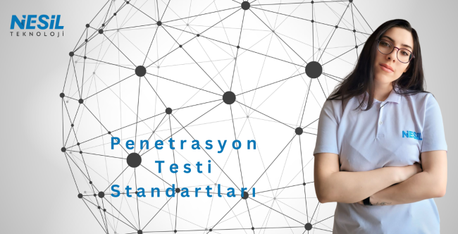 Penetrasyon Test Standartlari