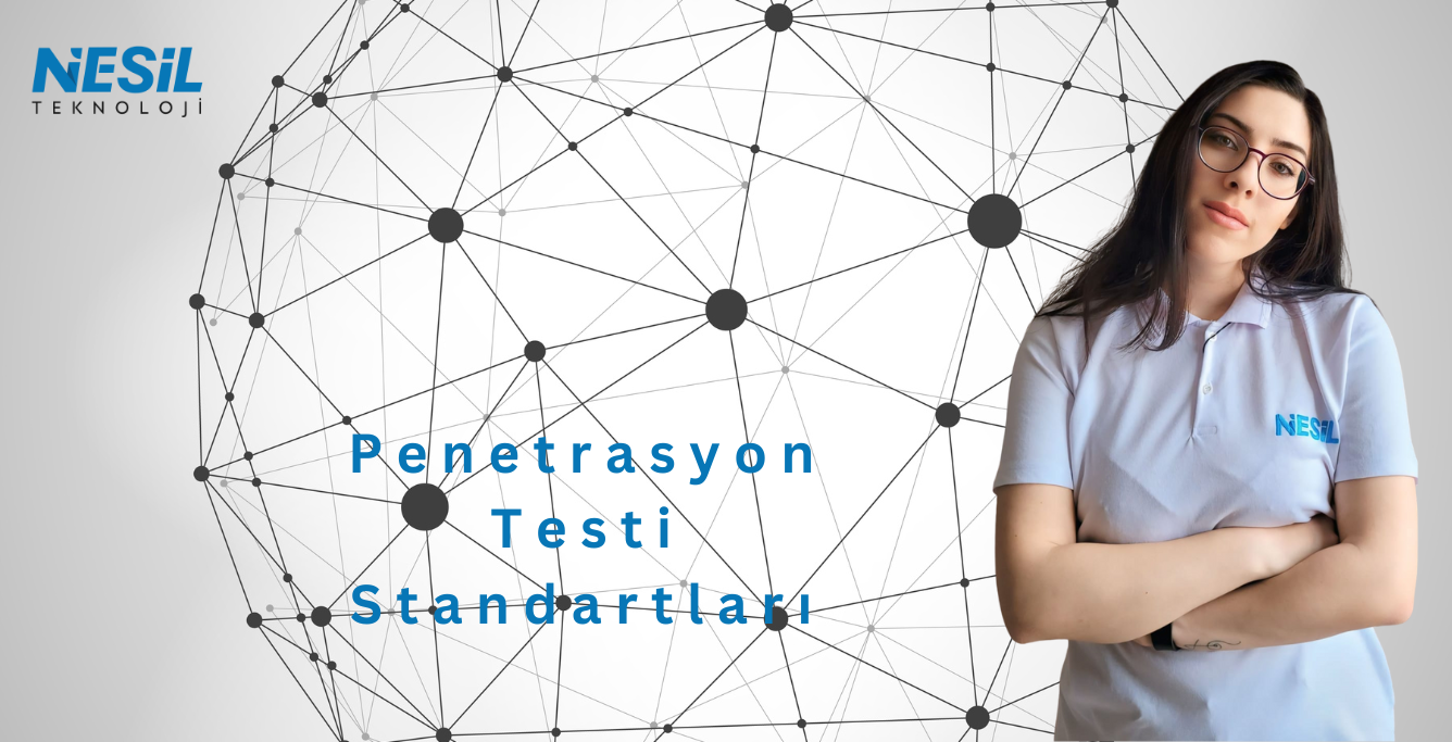 Penetrasyon Test Standartlari