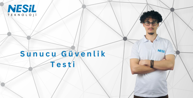Sunucu güvenlik testi