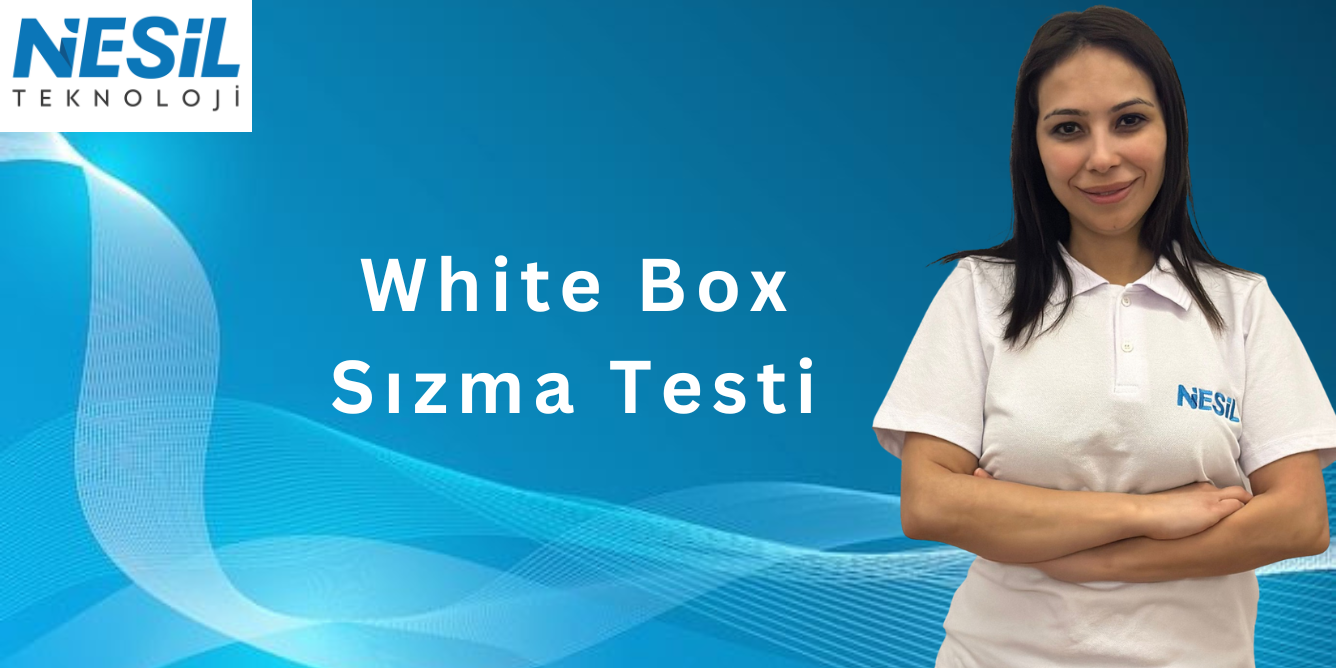 White box sızma testi (1336 x 683 px) White Box Sızma Testi
