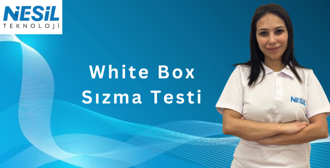 White Box Sızma Testi