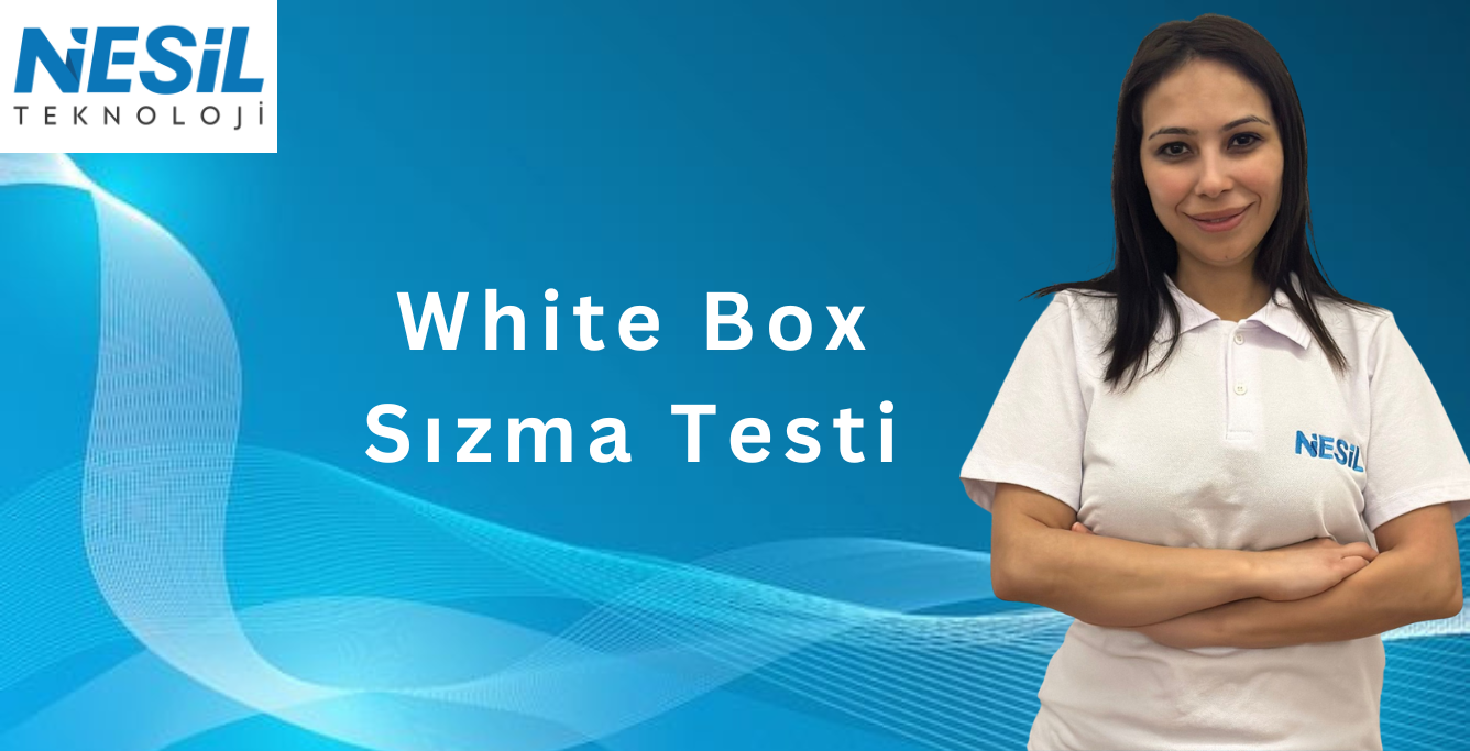White Box Sızma Testi