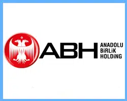 Anadolu Birlik Holding – KVKK projesi