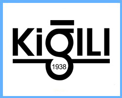 Kığılı ve Nesil Teknoloji iş birliği – siber güvenlik ve sistem testi projesi