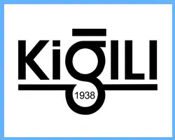 Kığılı ve Nesil Teknoloji iş birliği – siber güvenlik ve sistem testi projesi